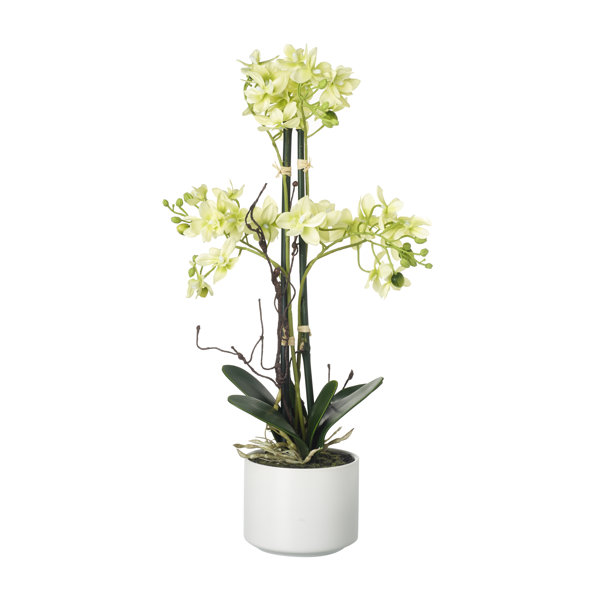 The Seasonal Aisle Artificial Orchid Plant in Pot Wayfair.co.uk